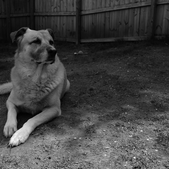 Meet your Posher, Rachael - Picture 1 of 1